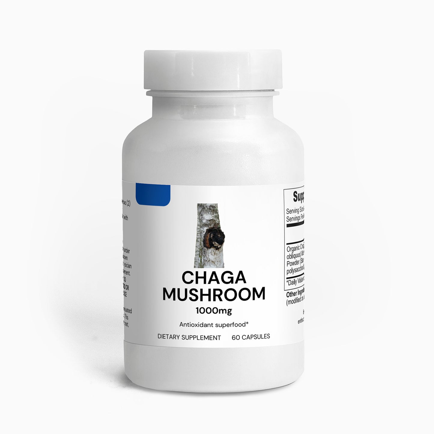 Chaga Mushroom